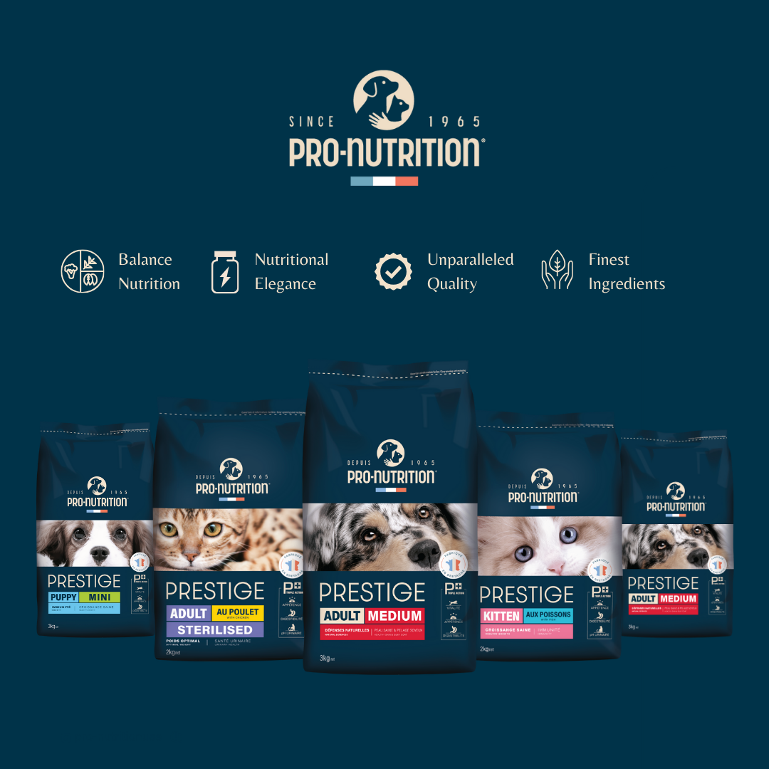 Pro Nutrition Dog and Cat