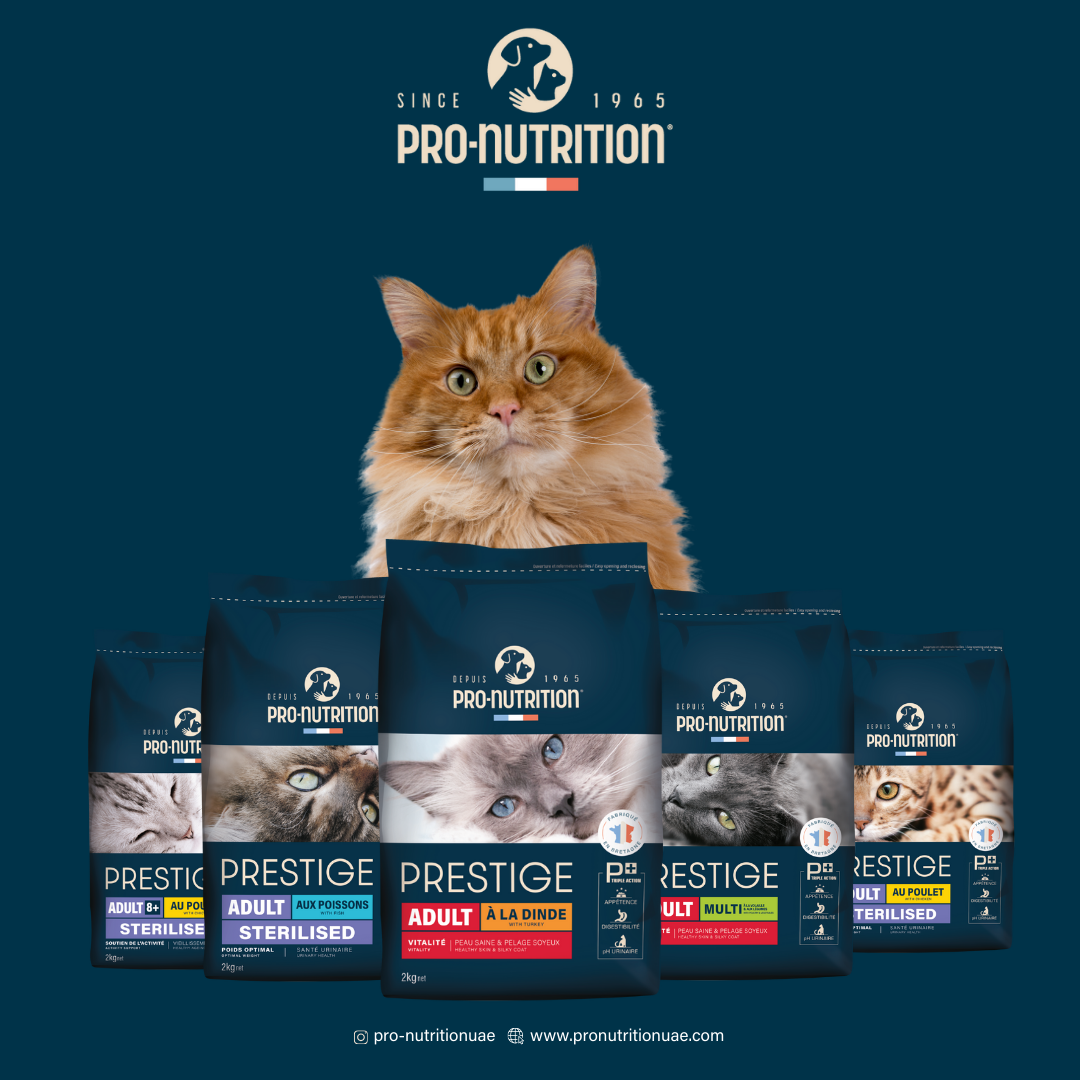 Pro Nutrition for Cats