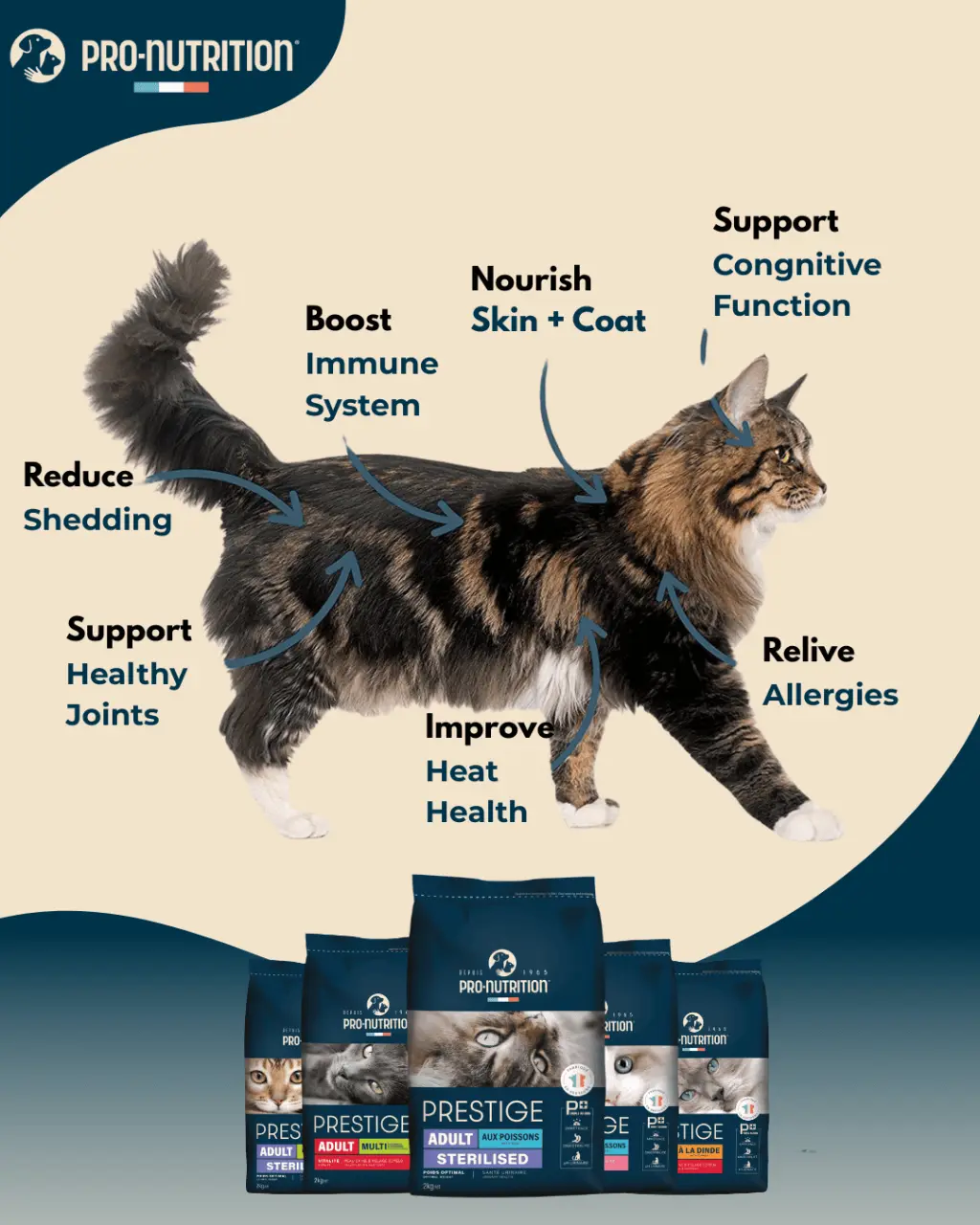 Benefits of Omega Fatty Acids for cat