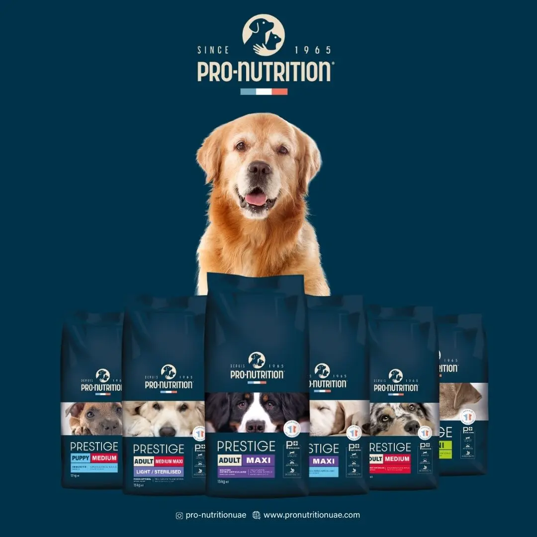 Pro Nutrition Prestige dog food with probiotics – premium kibble bag featuring ingredients like salmon, artichoke, and Enterococcus faecium for digestive h
