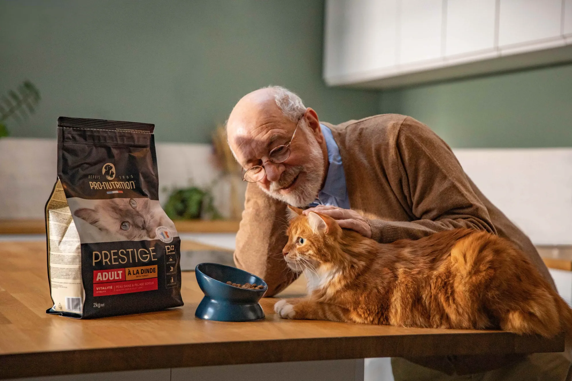 Premium dry cat food collection by Pro Nutrition UAE - Superior nutrition for felines Premium dry cat food collection by Pro Nutrition UAE - Superior nutrition for felines